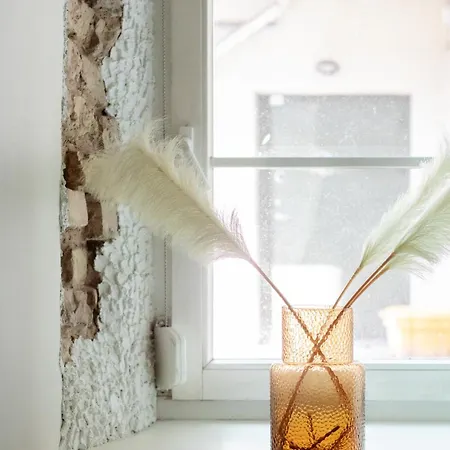 Homey Apartment Vilnius