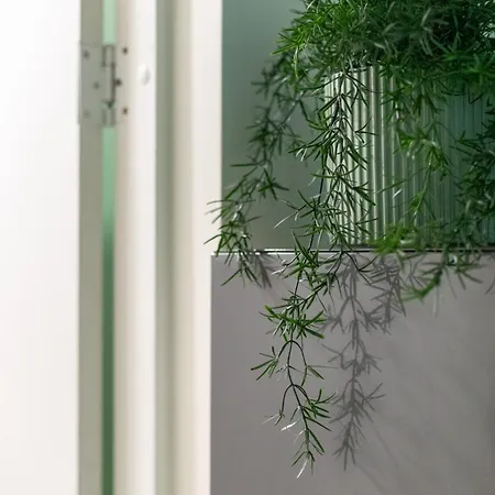 Homey * 维尔纽斯