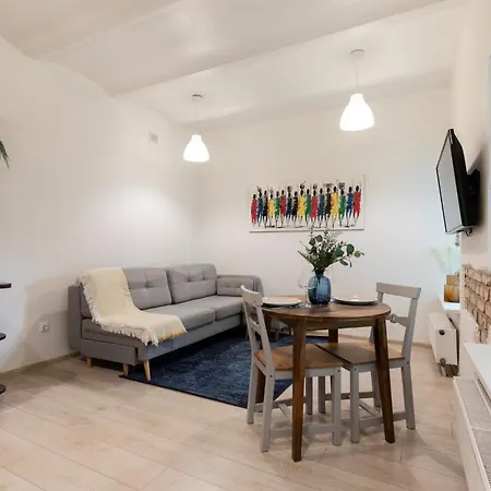 Apartamento Homey *